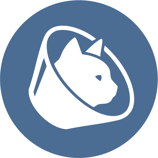 Cat Cone Icon