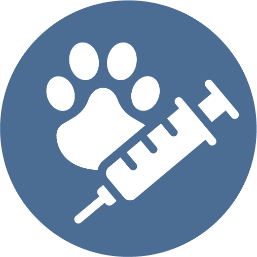 Paw Vaccine Icon