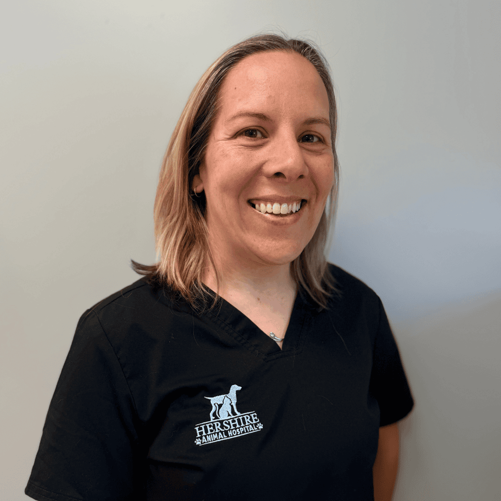 Dr. Gallisdorfer smiling
