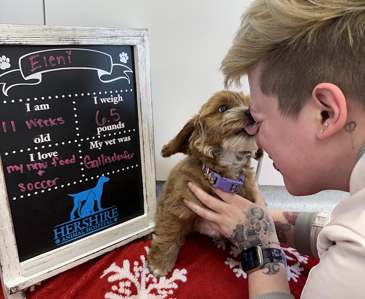 puppy giving a vet tech some kisses