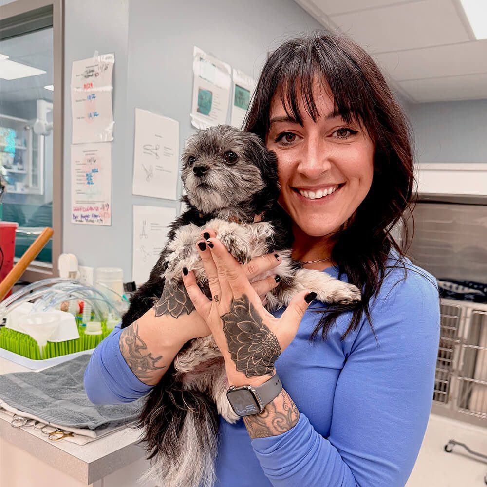 veterinary staff member holding small black and gray puppy